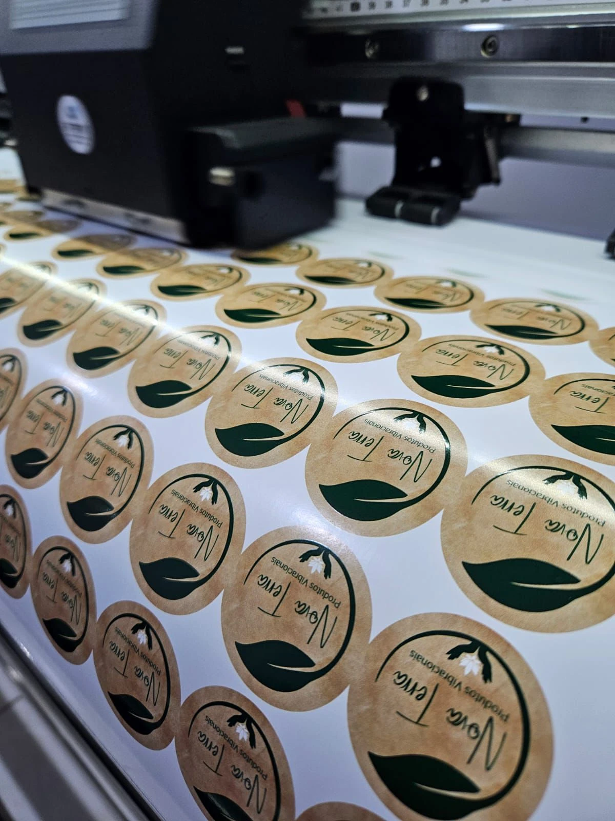 Adesivos em Vinil para Embalagem